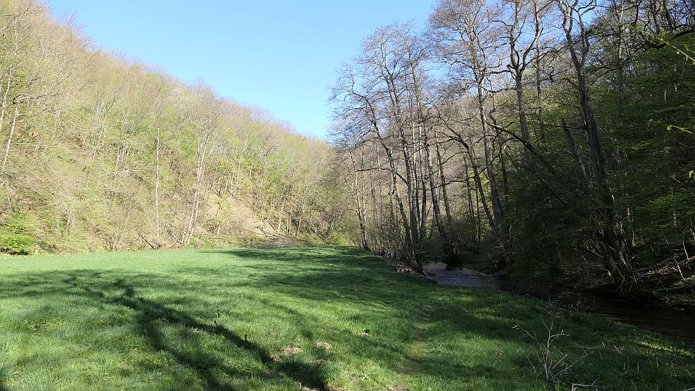 Saar Hunsrueck Steig