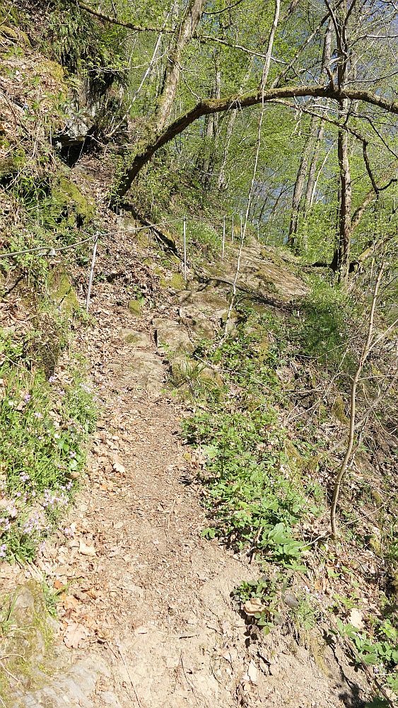 Saar Hunsrueck Steig