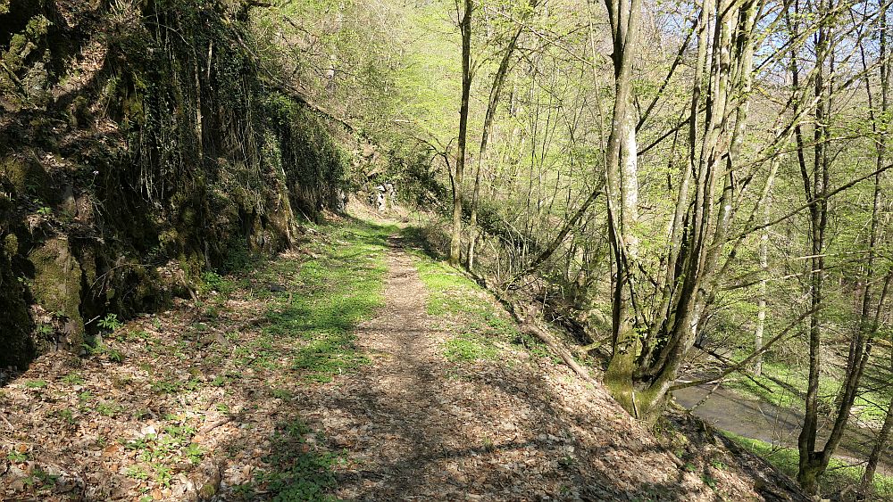 Saar Hunsrueck Steig