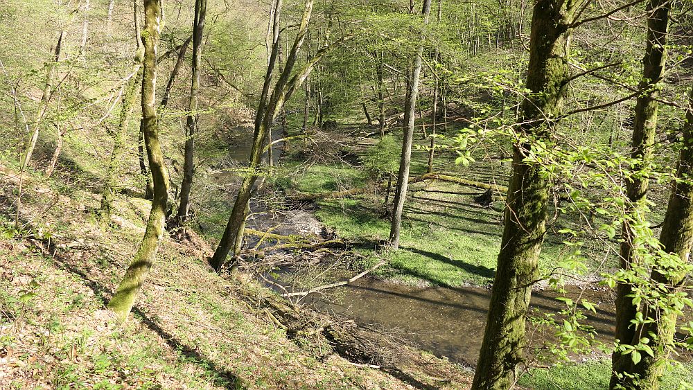 Saar Hunsrueck Steig