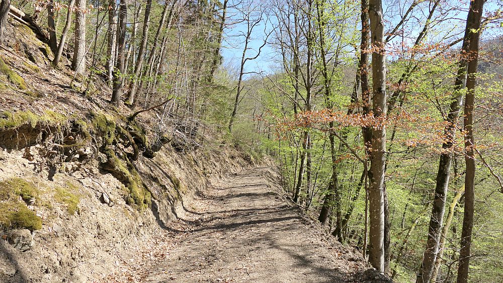 Saar Hunsrueck Steig