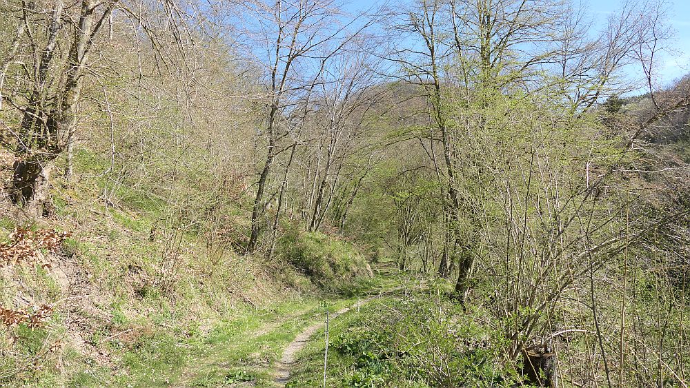 Saar Hunsrueck Steig