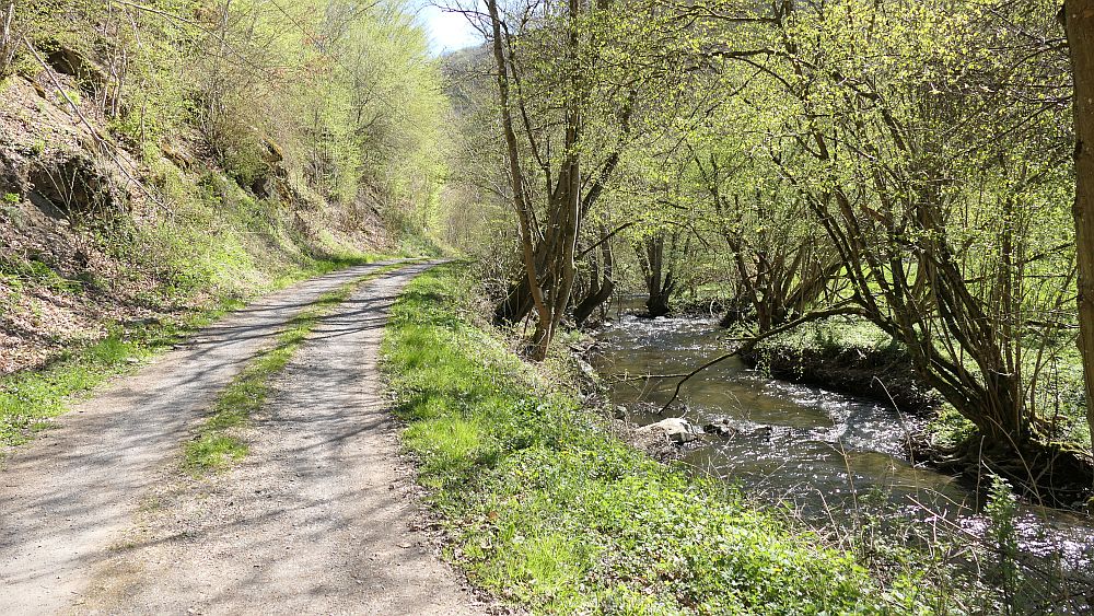Saar Hunsrueck Steig