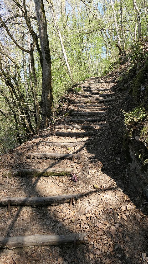 Saar Hunsrueck Steig