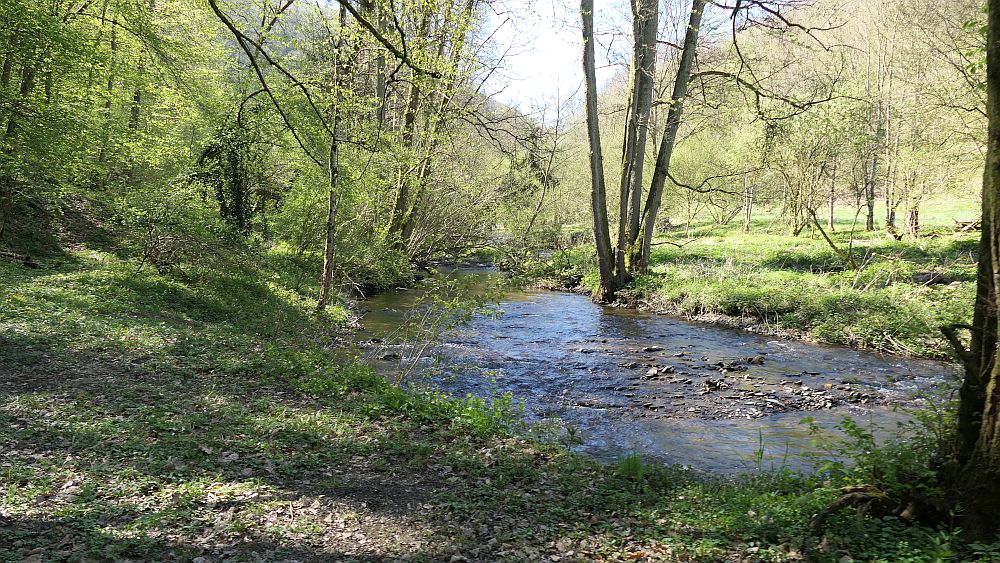 Saar Hunsrueck Steig