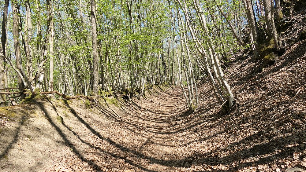 Saar Hunsrueck Steig