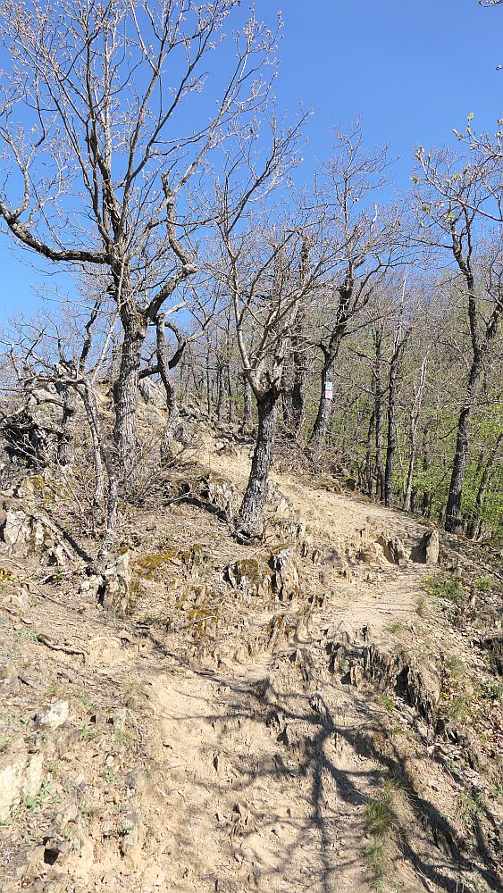 Saar Hunsrueck Steig