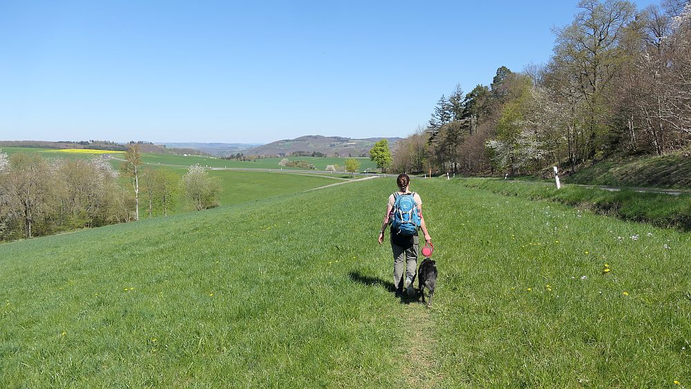 Saar Hunsrueck Steig