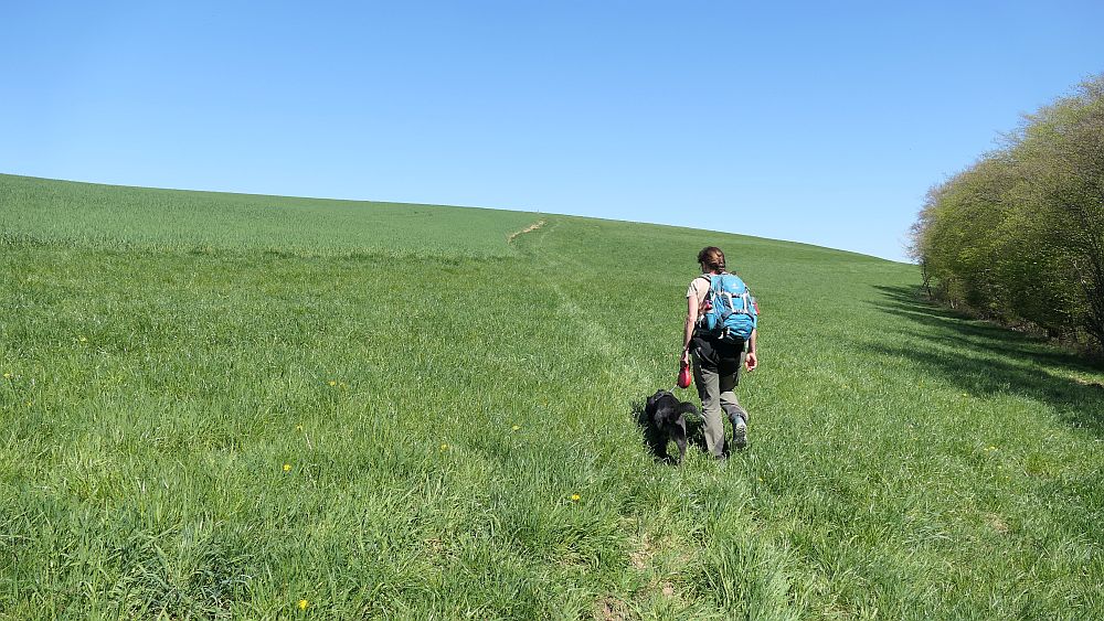 Saar Hunsrueck Steig