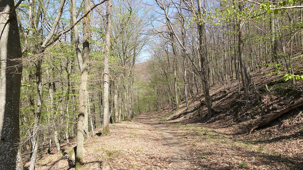 Saar Hunsrueck Steig