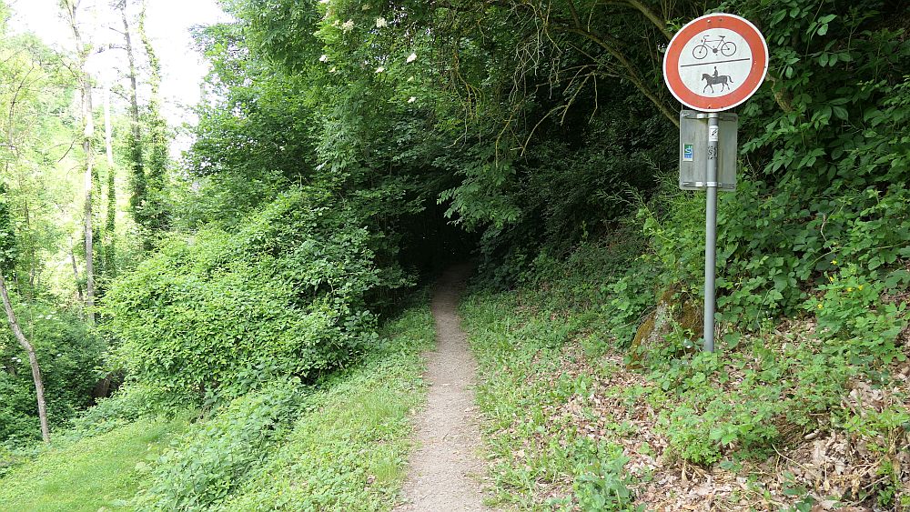 Saar Hunsrueck Steig