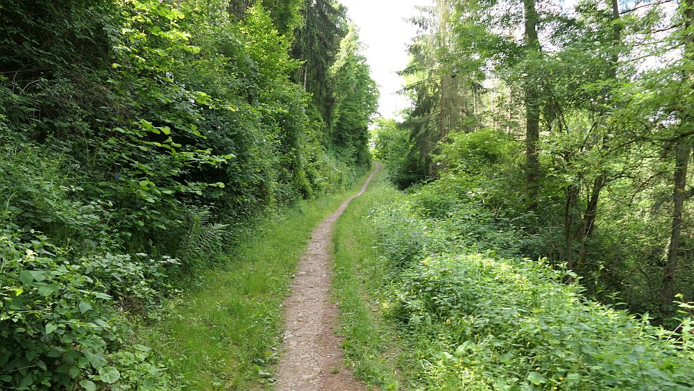 Saar Hunsrueck Steig