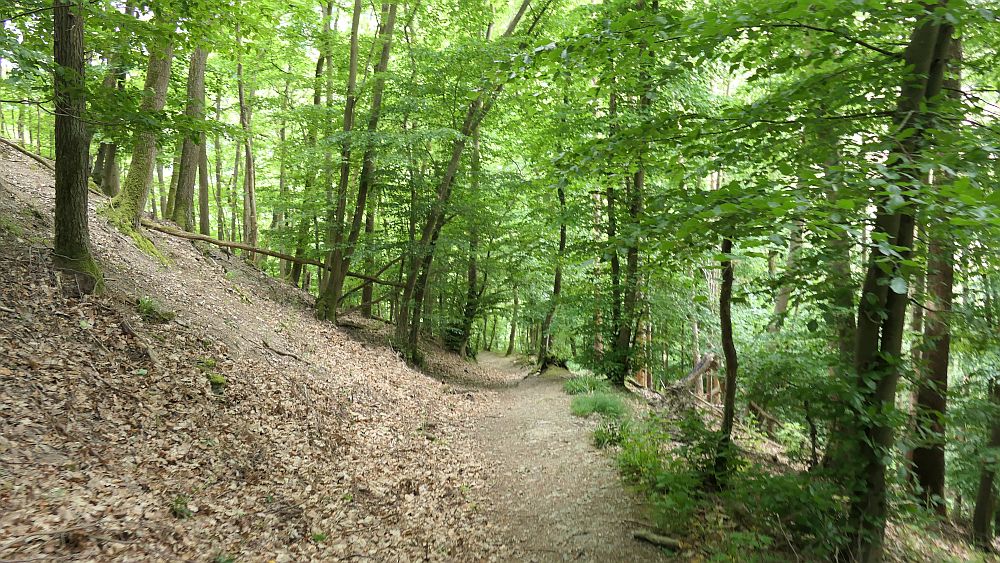 Saar Hunsrueck Steig