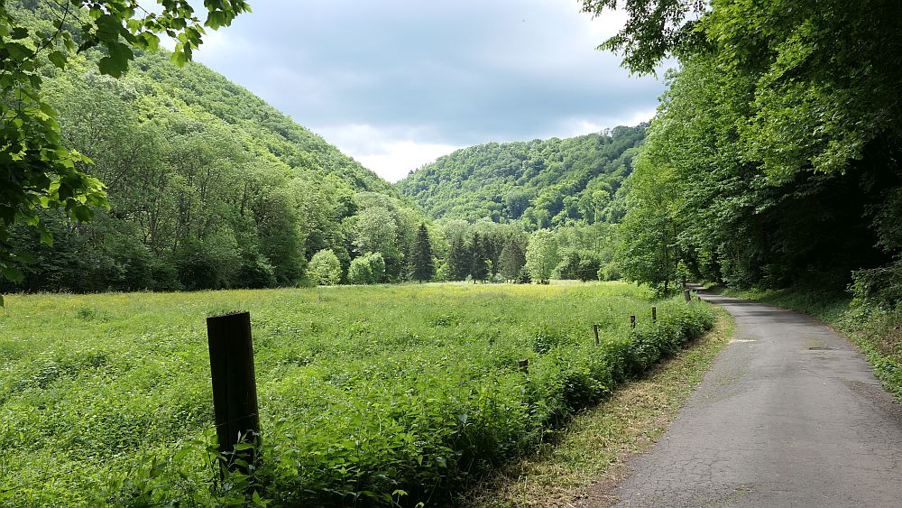 Saar Hunsrueck Steig