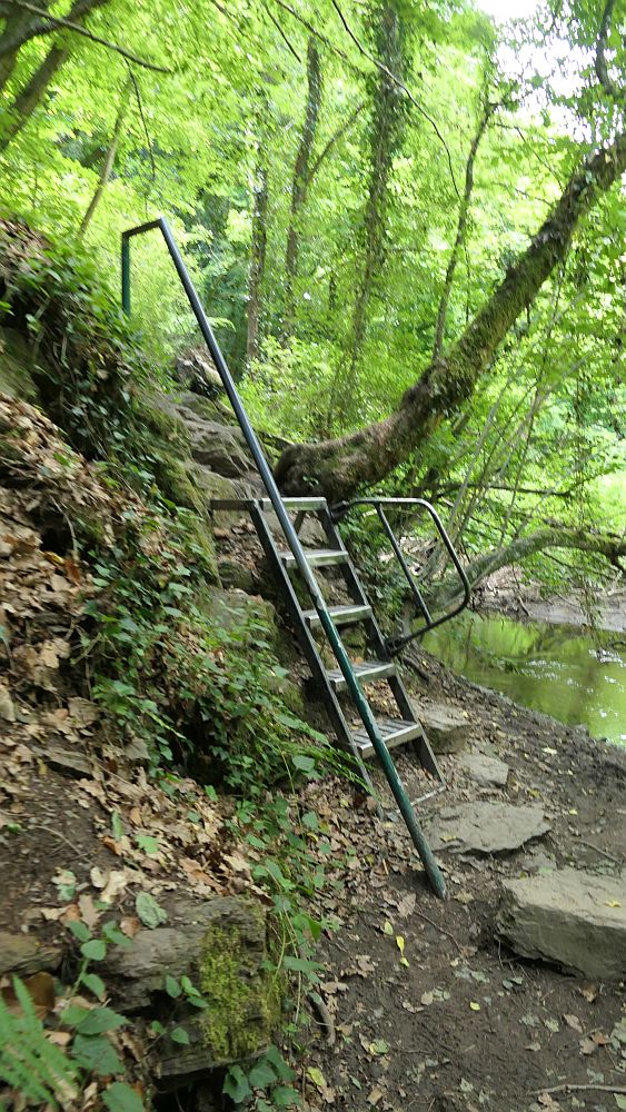 Saar Hunsrueck Steig