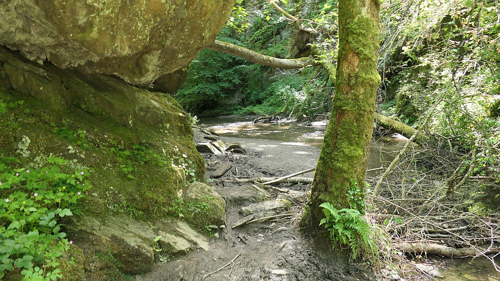 Saar Hunsrueck Steig