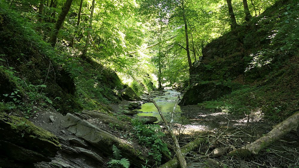 Saar Hunsrueck Steig