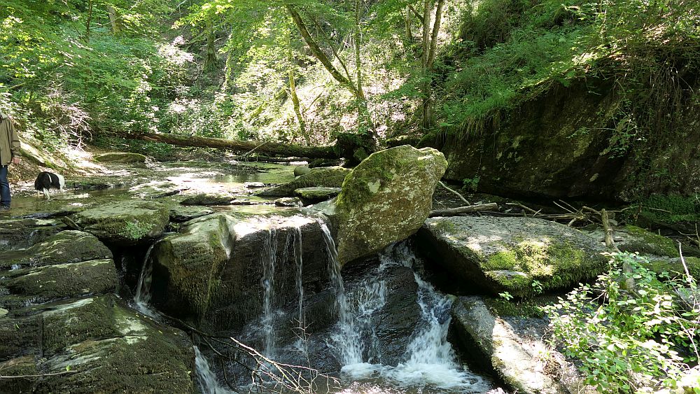 Saar Hunsrueck Steig