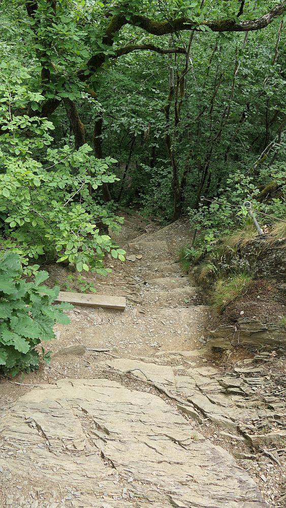 Saar Hunsrueck Steig