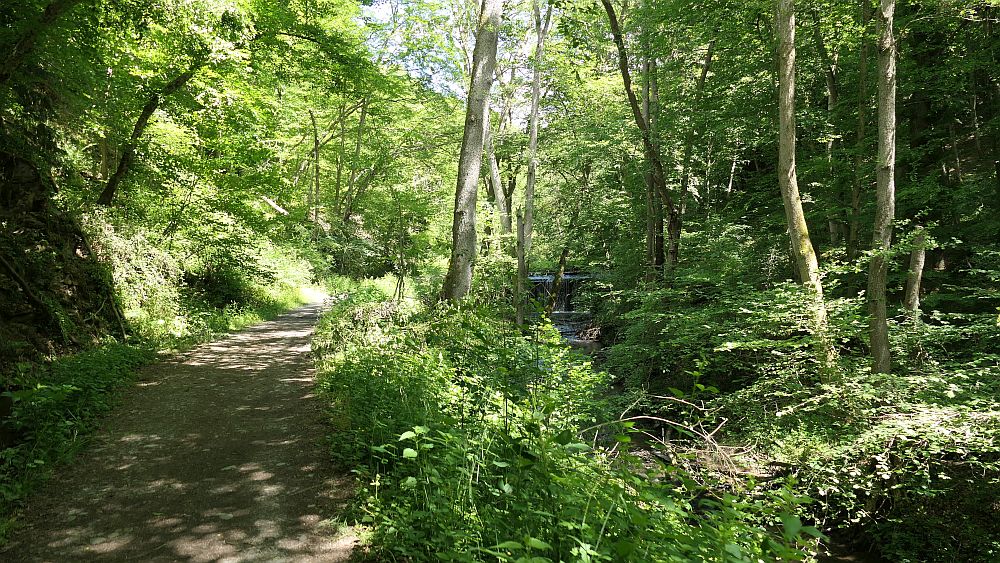 Saar Hunsrueck Steig