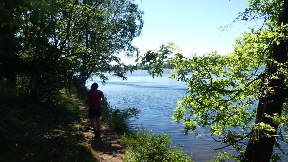 Saar Hunsrueck Steig