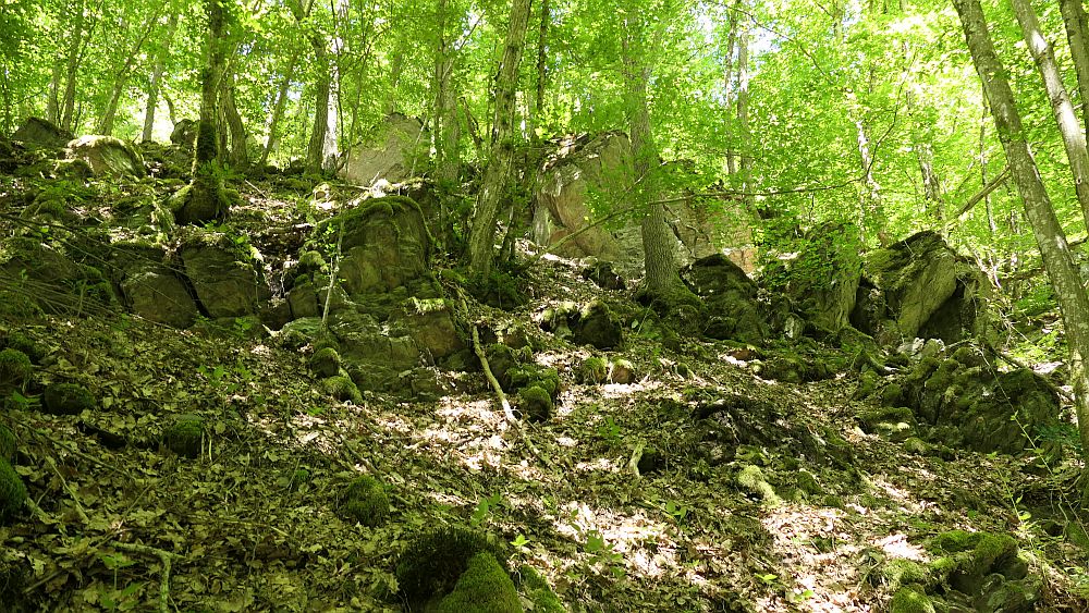 Saar Hunsrueck Steig