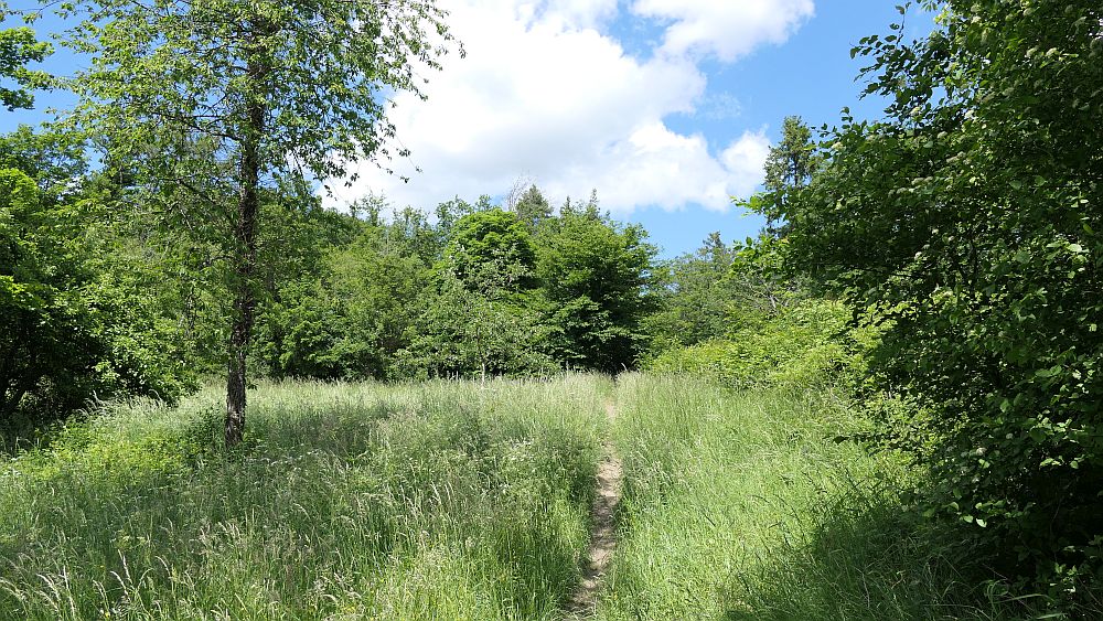 Saar Hunsrueck Steig
