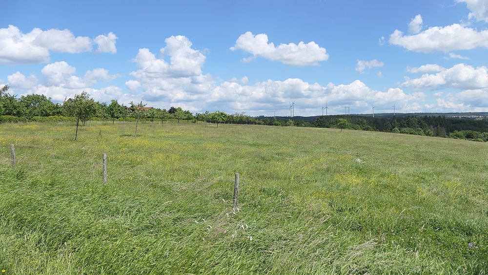 Saar Hunsrueck Steig