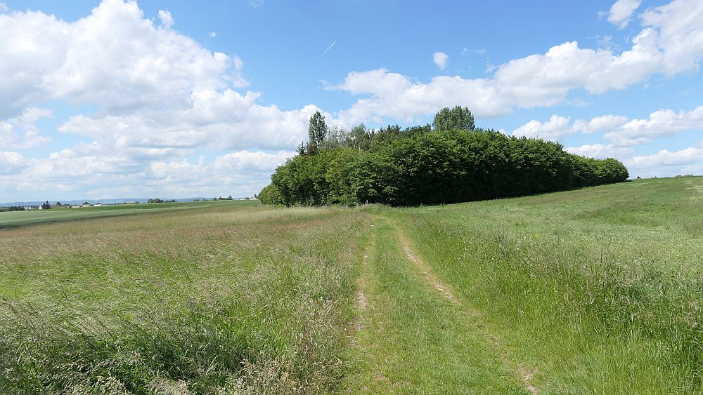 Saar Hunsrueck Steig