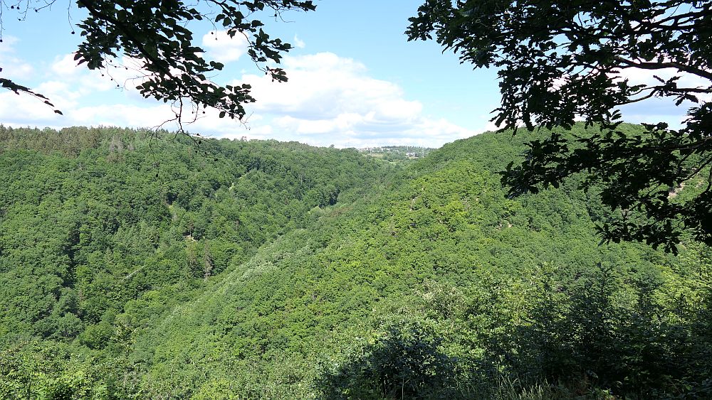 Saar Hunsrueck Steig