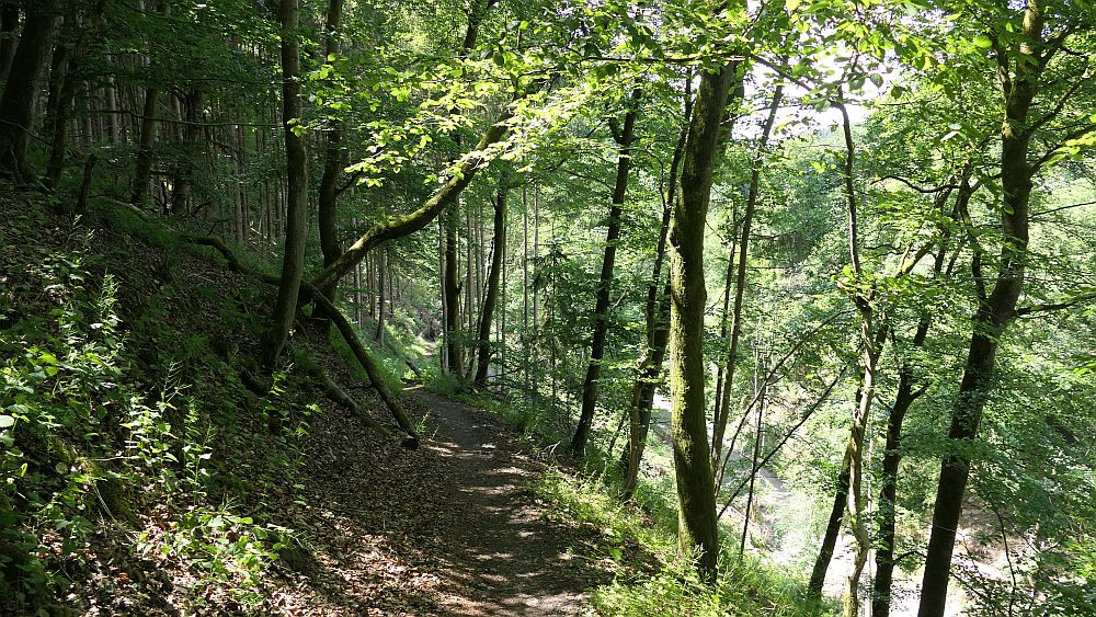 Saar Hunsrueck Steig
