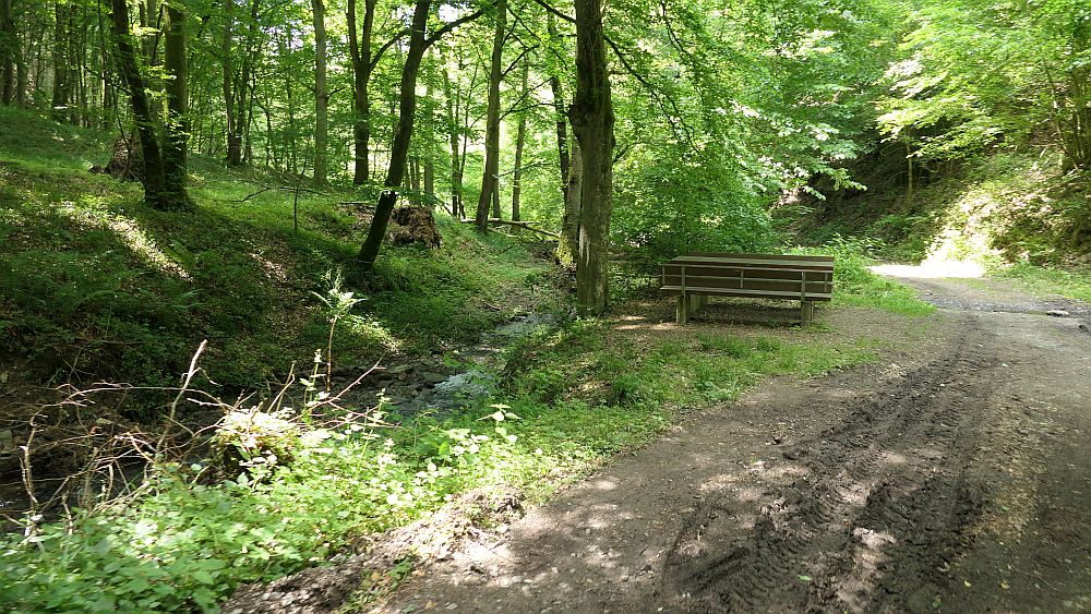 Saar Hunsrueck Steig