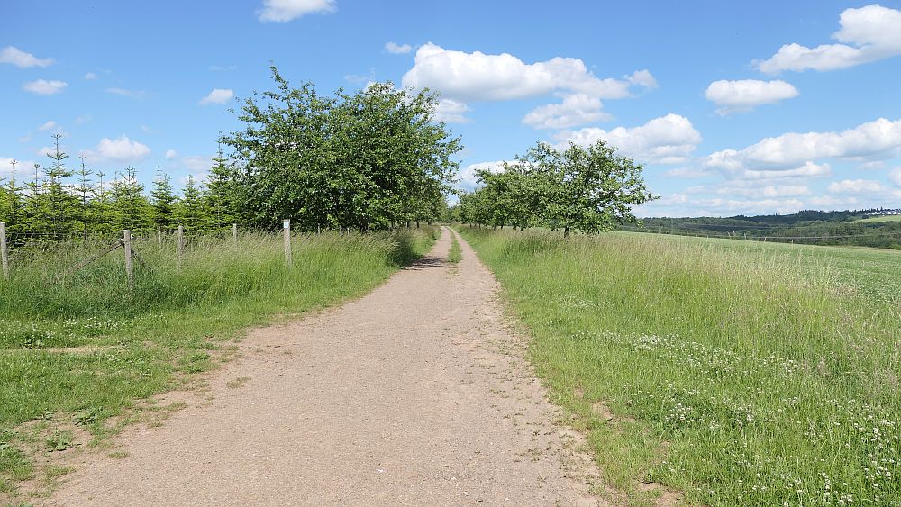Saar Hunsrueck Steig