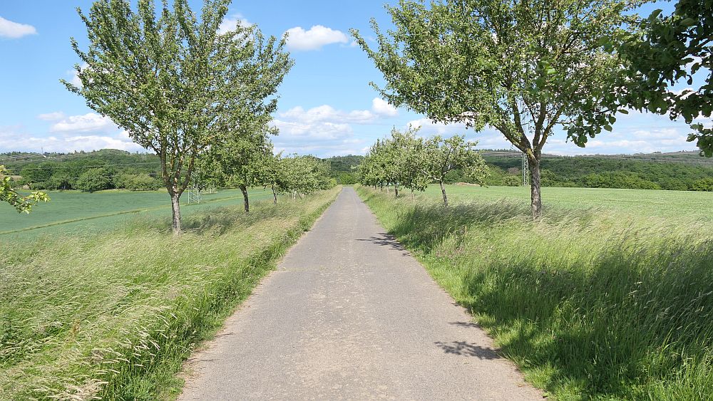 Saar Hunsrueck Steig