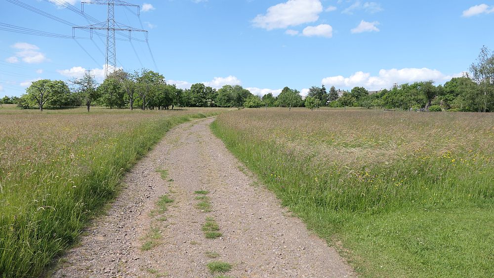 Saar Hunsrueck Steig