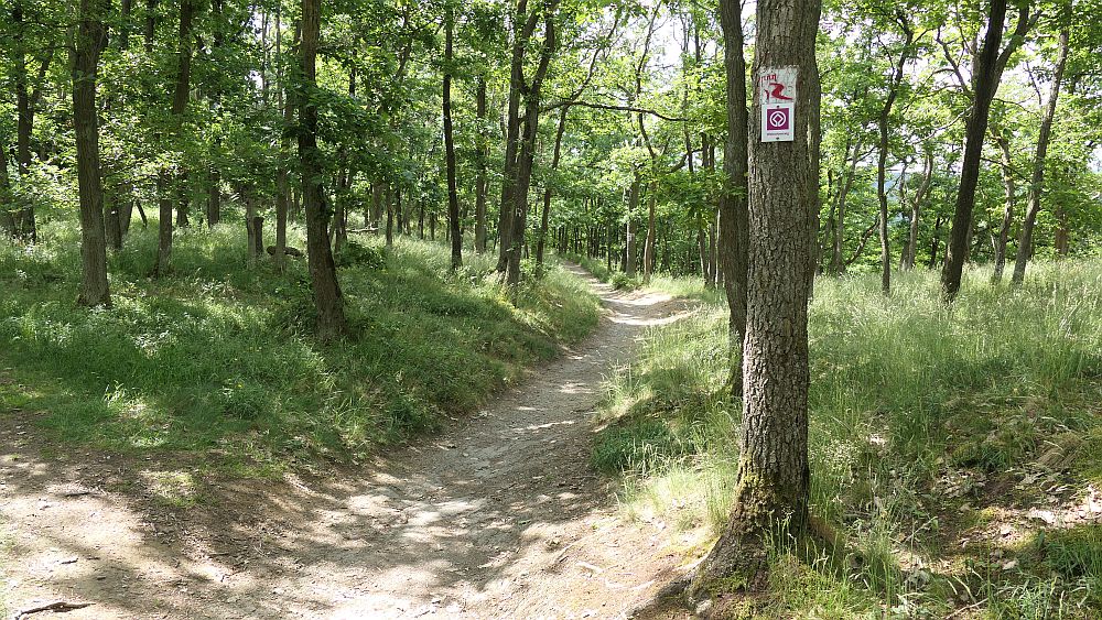 Saar Hunsrueck Steig