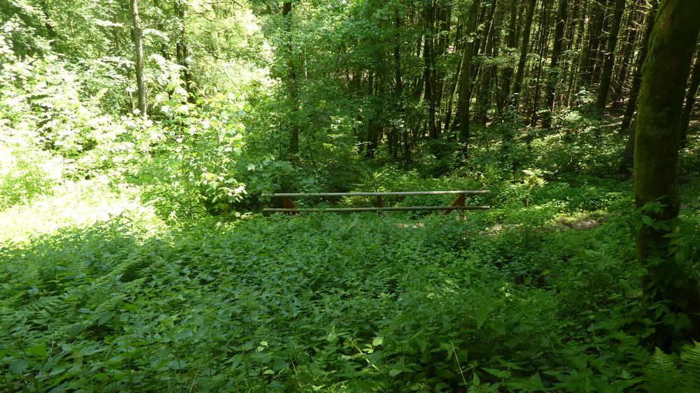 Saar Hunsrueck Steig