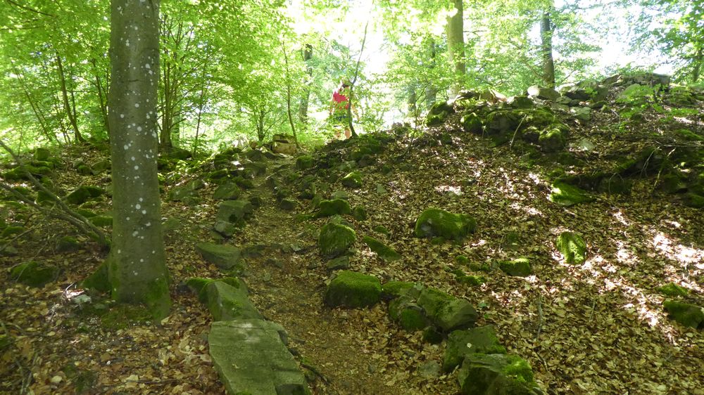 Saar Hunsrueck Steig