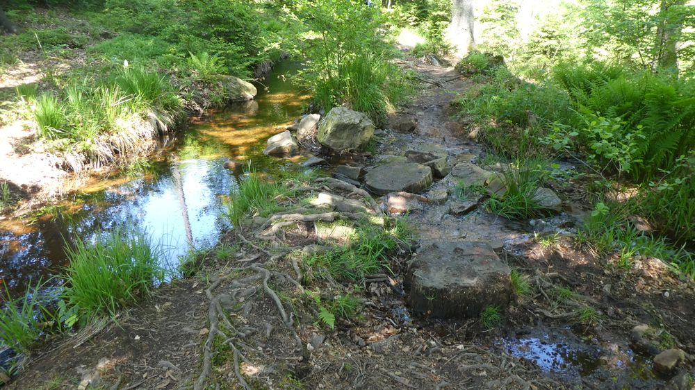 Saar Hunsrueck Steig