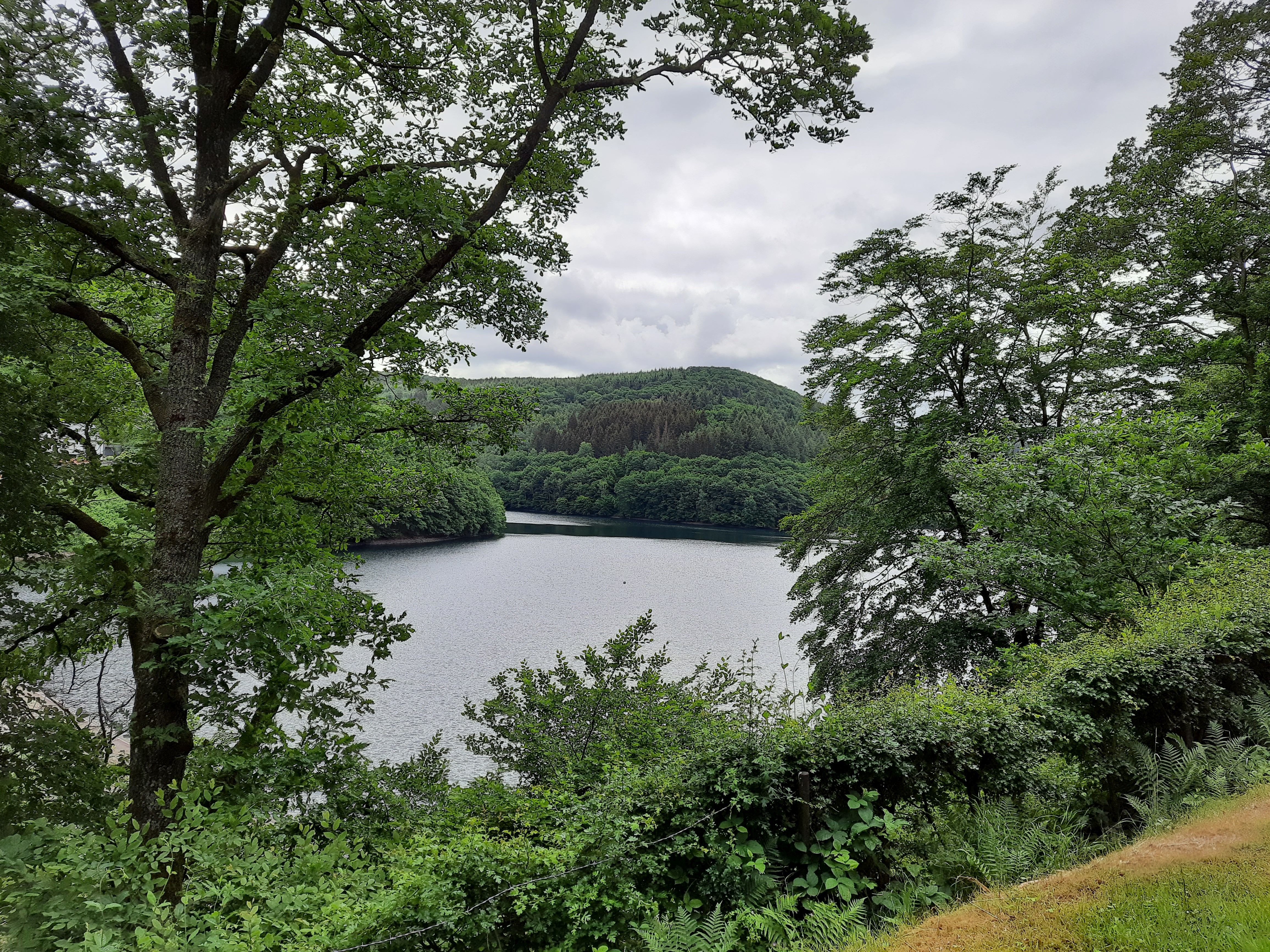 Saar Hunsrueck Steig