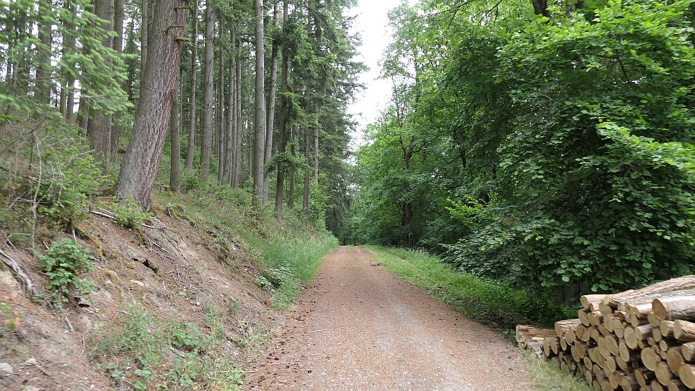 Saar Hunsrueck Steig