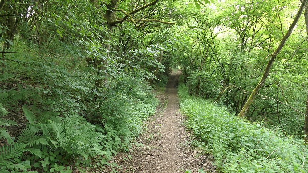 Saar Hunsrueck Steig