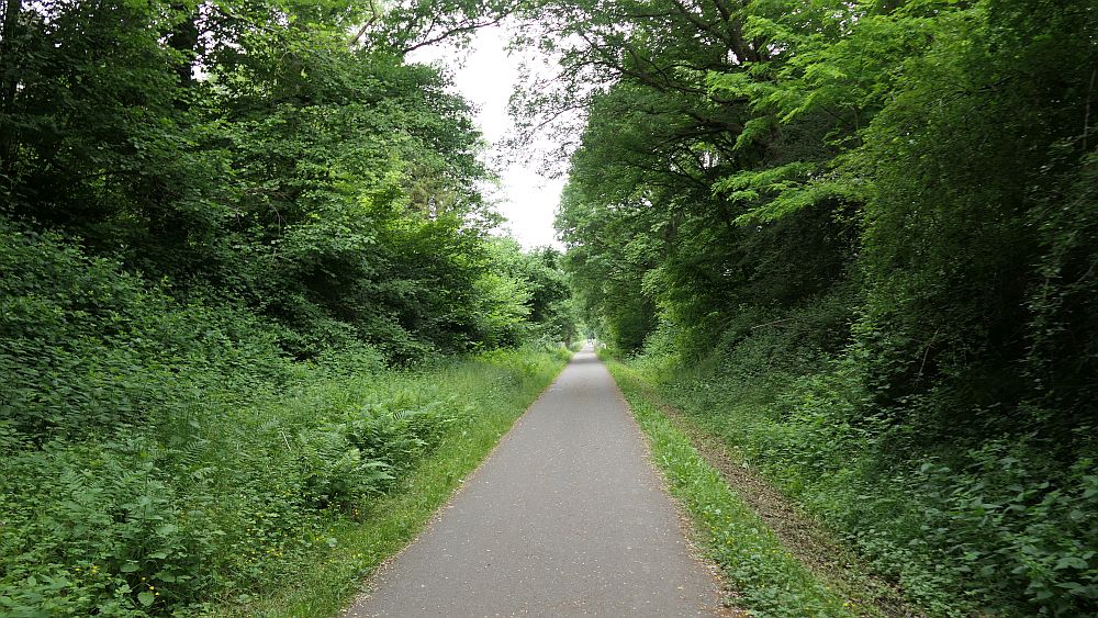 Saar Hunsrueck Steig
