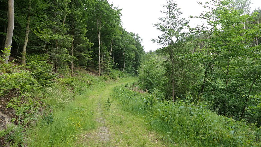 Saar Hunsrueck Steig