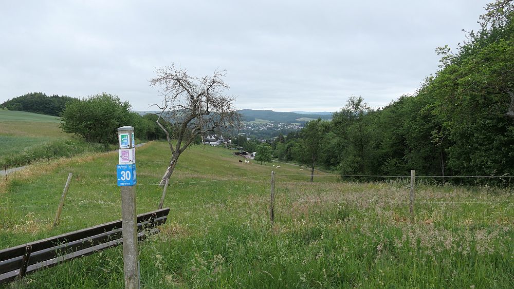 Saar Hunsrueck Steig