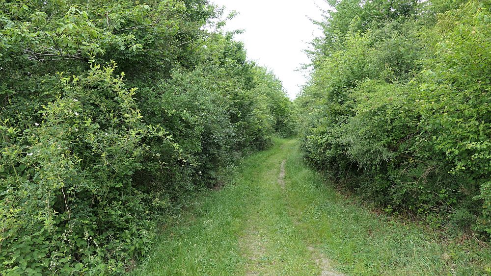 Saar Hunsrueck Steig