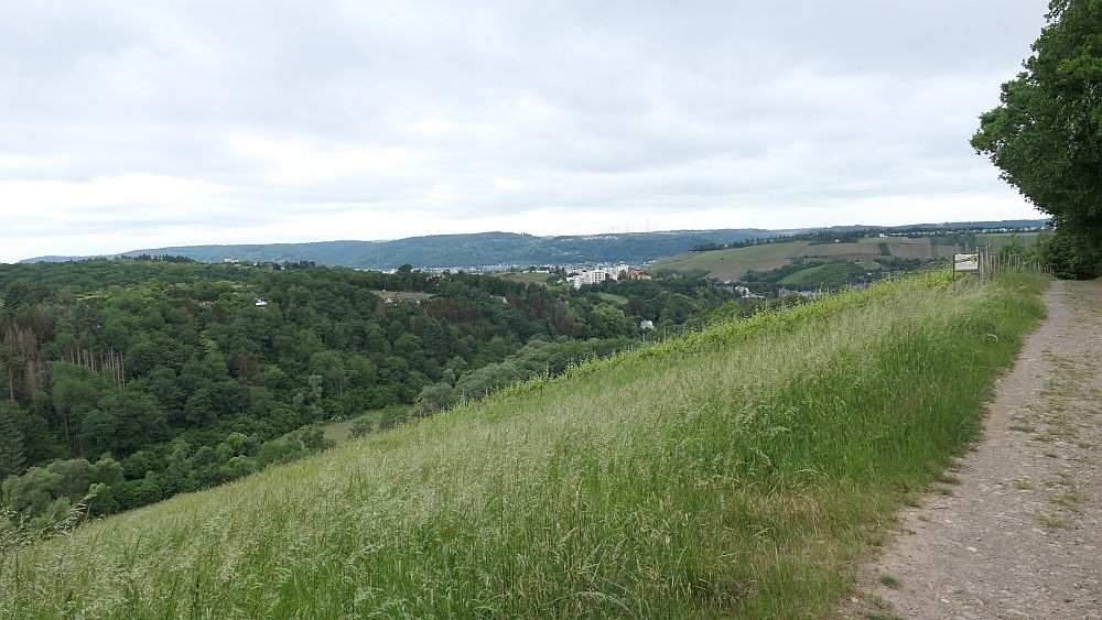 Saar Hunsrueck Steig