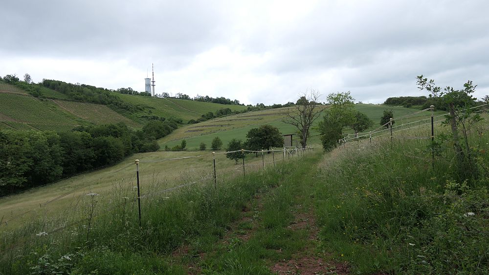 Saar Hunsrueck Steig