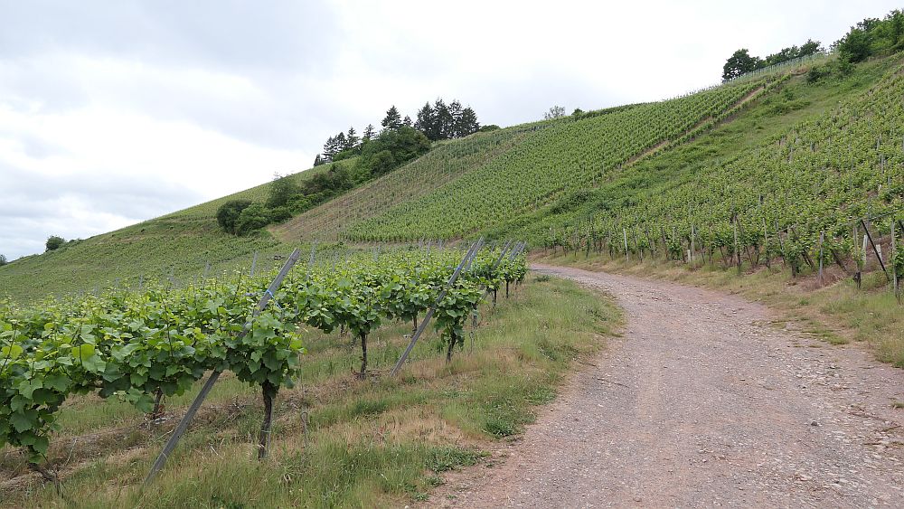 Saar Hunsrueck Steig