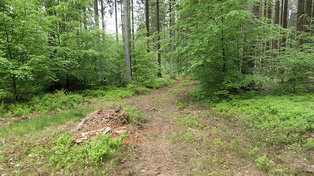 Saar Hunsrueck Steig